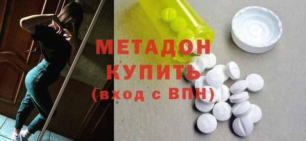 индика Алексин