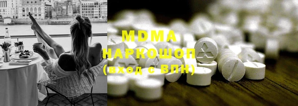 индика Алексин