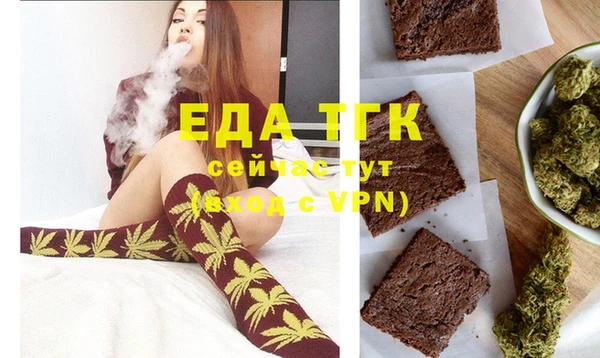 индика Алексин