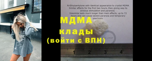 индика Алексин