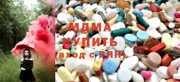 индика Алексин
