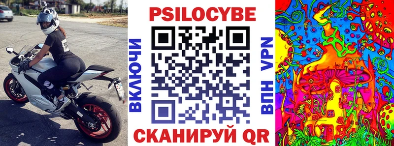 Псилоцибиновые грибы прущие грибы  Пермь 
